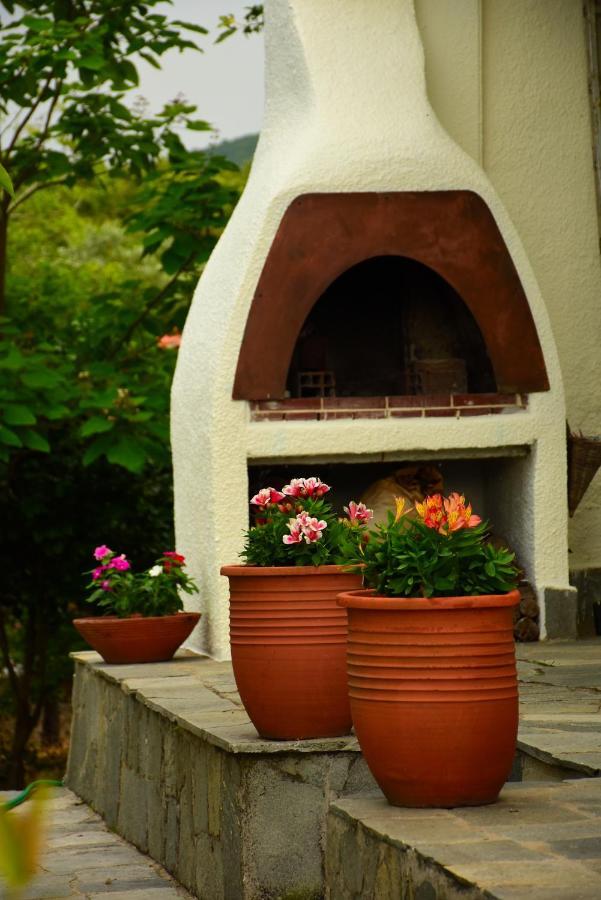 Villa Monte Kariotes Samothráki Exteriör bild